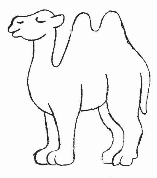 camel-coloring-pages (2)