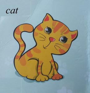 cat image