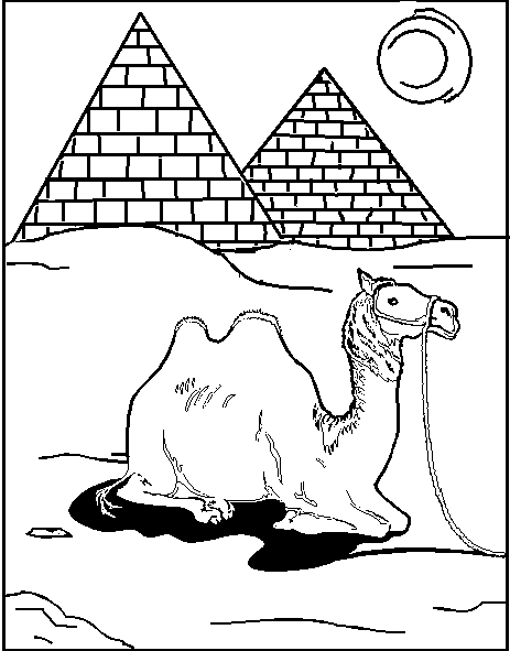 childcolor-camel