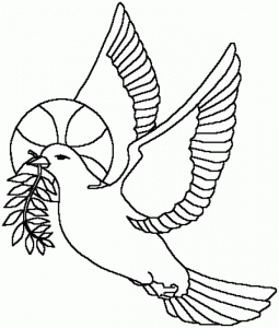 coloring-pages-pigeon-coloring-pages
