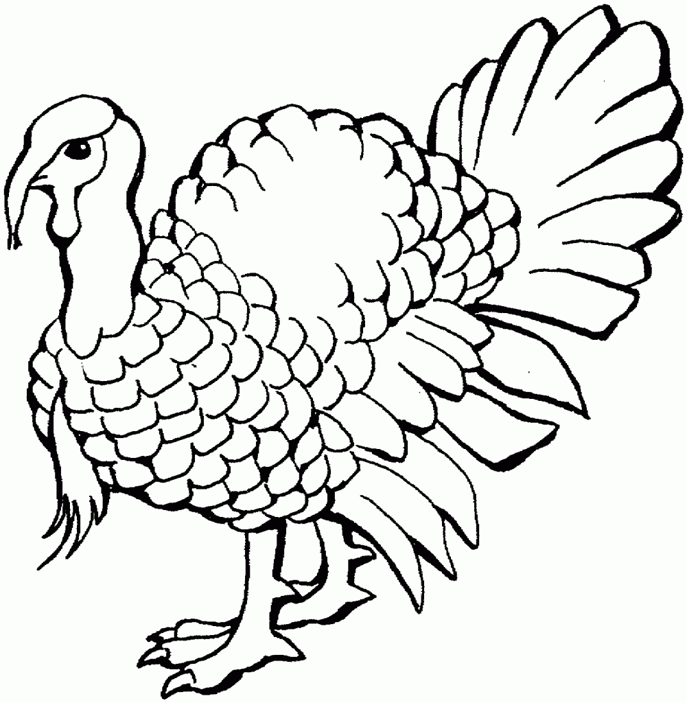 Turkey Coloring Pages for Kids - Preschool and Kindergarten