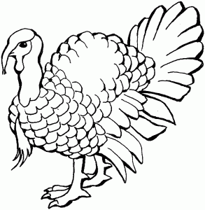 coloring picture of a turkey funny