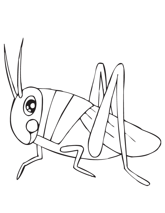 cute-grasshopper-coloring-page