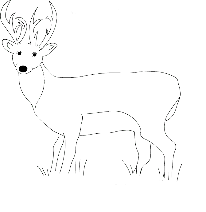 deer-coloring-pages