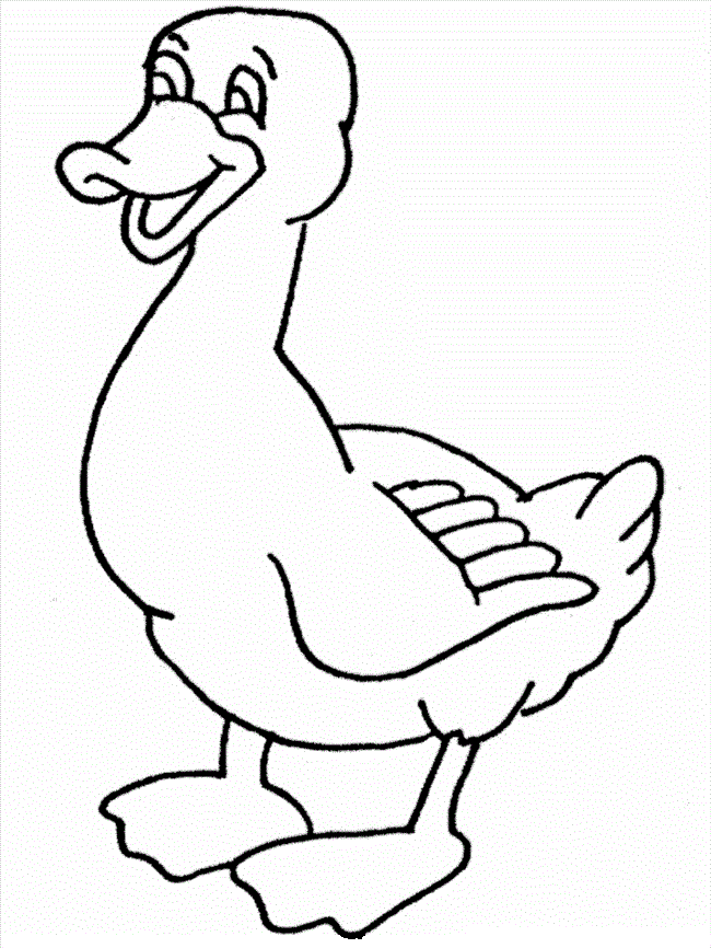 Download Duck Coloring Pages For Kids - Preschool and Kindergarten