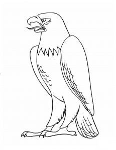 eagle coloring pages for kids