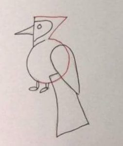 easy bird drawing for students