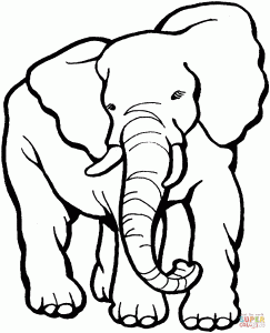 elephant-coloring-page