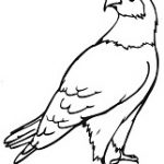 free Eagle coloring pages ideas for preschool