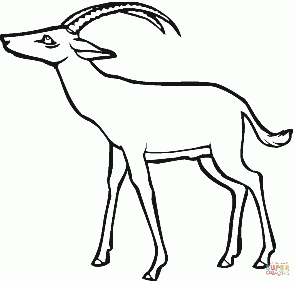 free-Gazelle-printable-colouring-pages-for-preschool