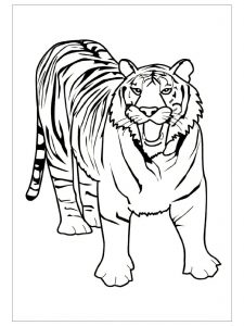 free Tiger coloring pages ideas for preschool