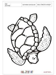 free Turtle coloring pages for preschool