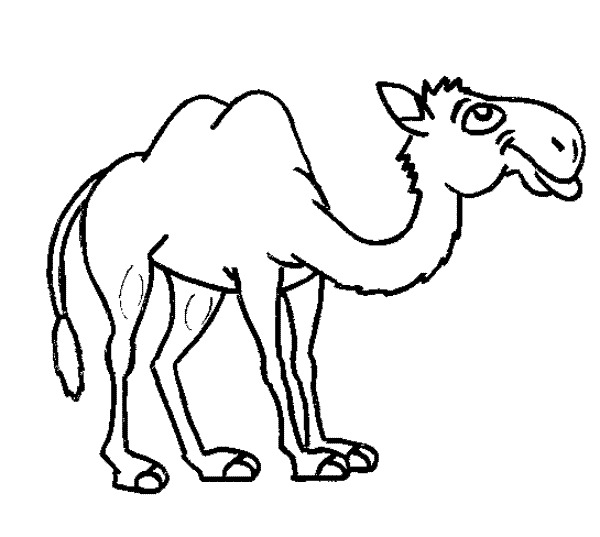free-animals- Camel-printable-coloring-pages-for-preschool