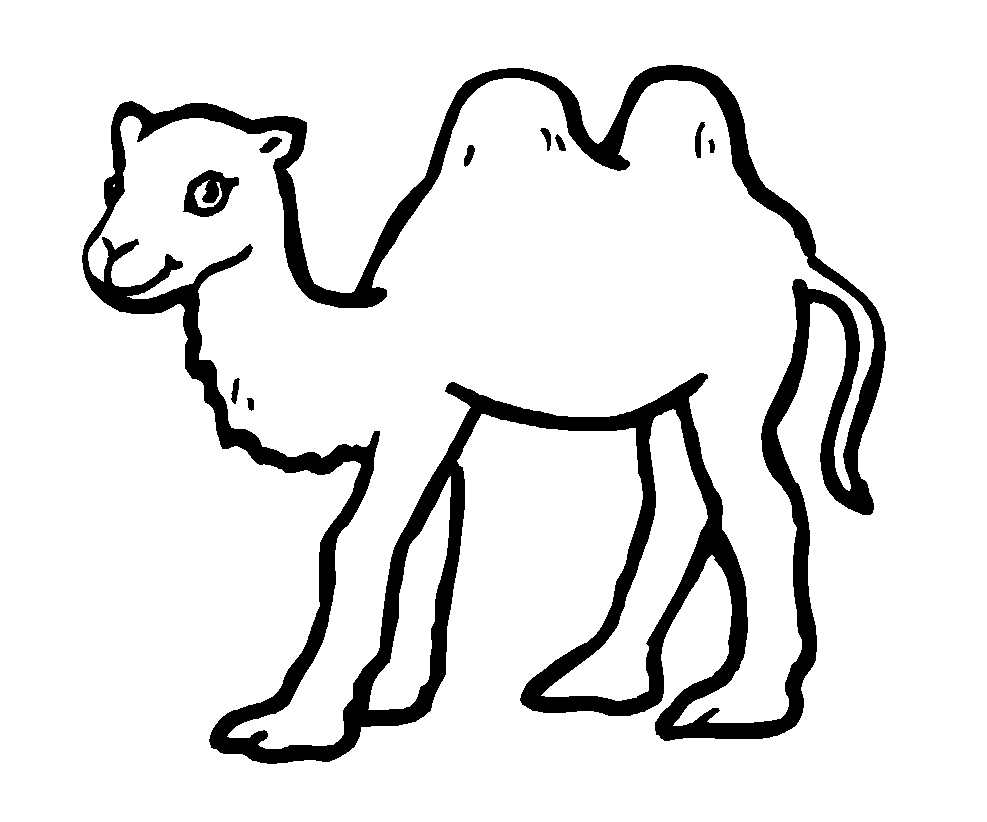 free-animals-Camel -printable-coloring-pages-for-preschool