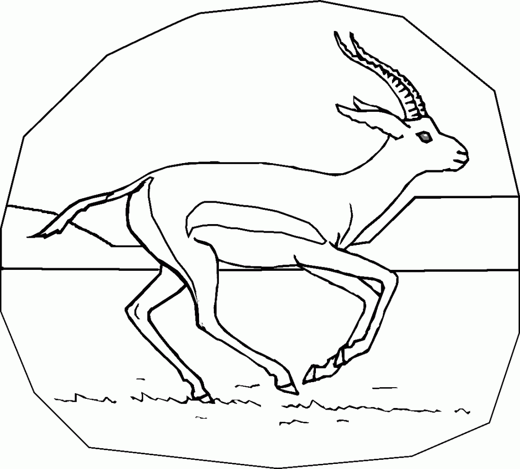 free-animals-Gazelle-printable-coloring-pages-for-kids