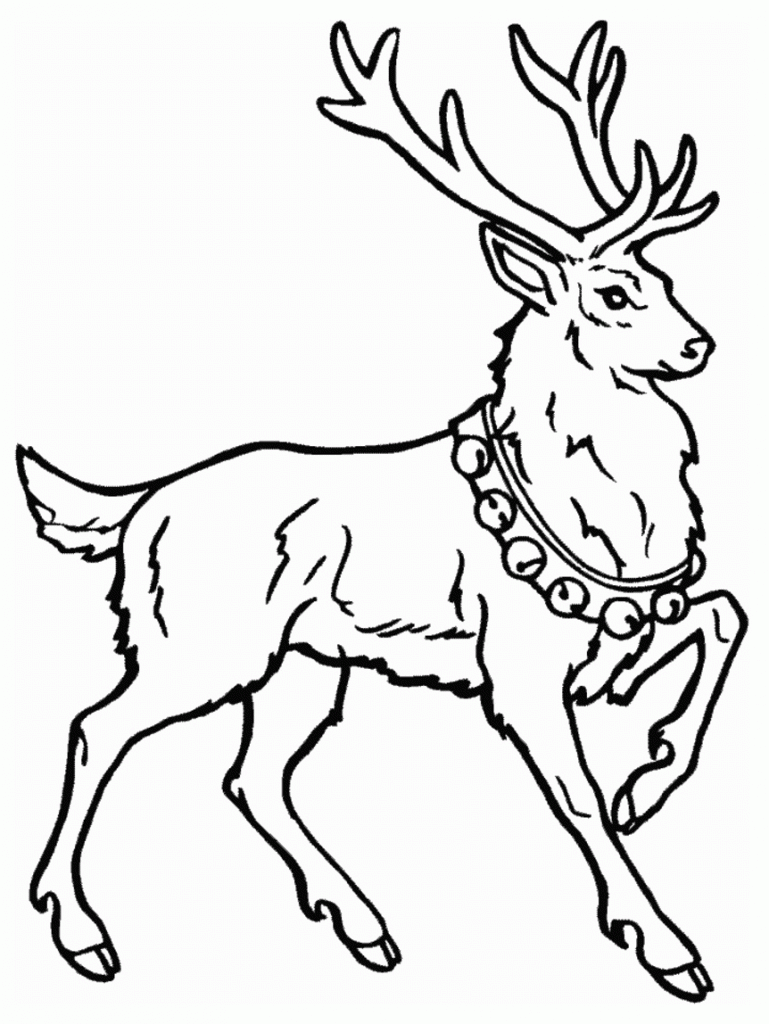 free-animals-Gazelle-printable-colouring-pages-for-preschool