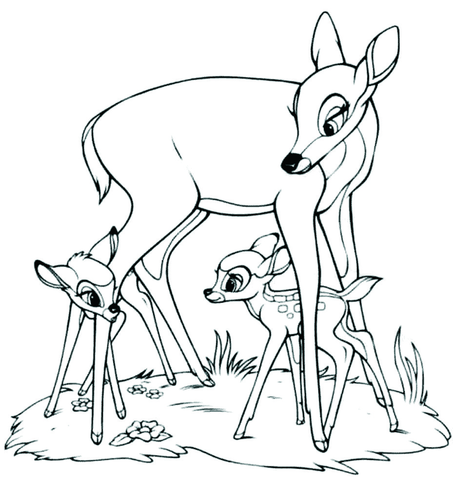 free-animals-Gazelles-printable-coloring-pages-for-preschool