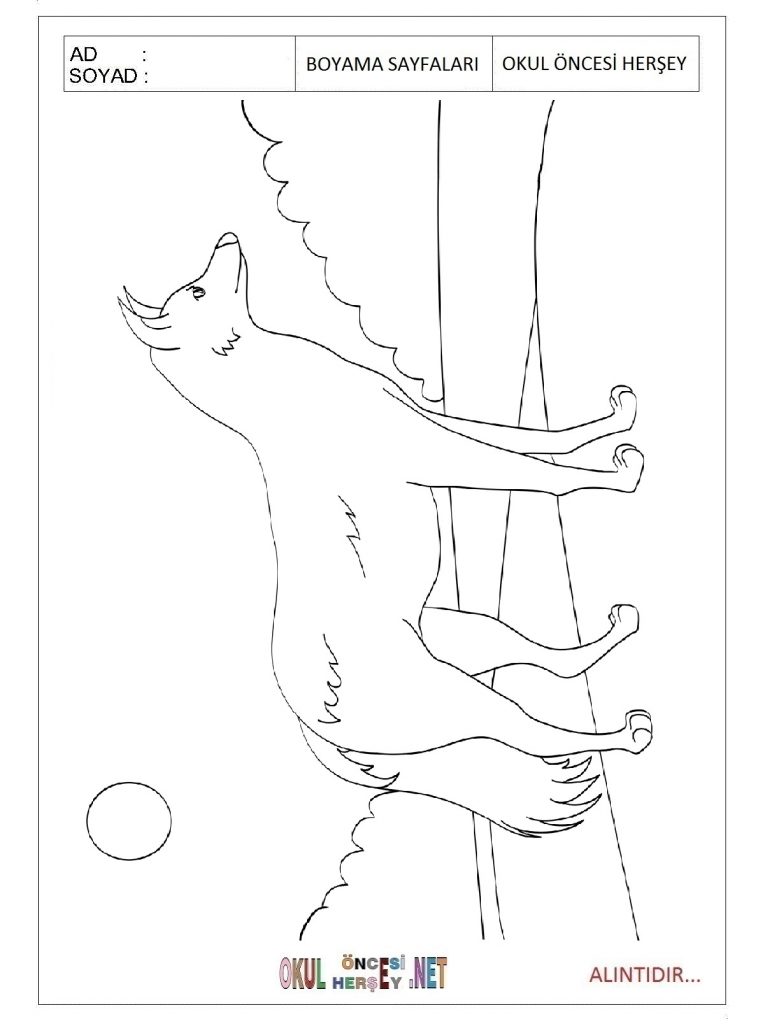 free-animals-Jackal-printable-coloring-pages-for-kids