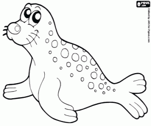 free-animals- Monk seal -printable-coloring-pages-for-preschool