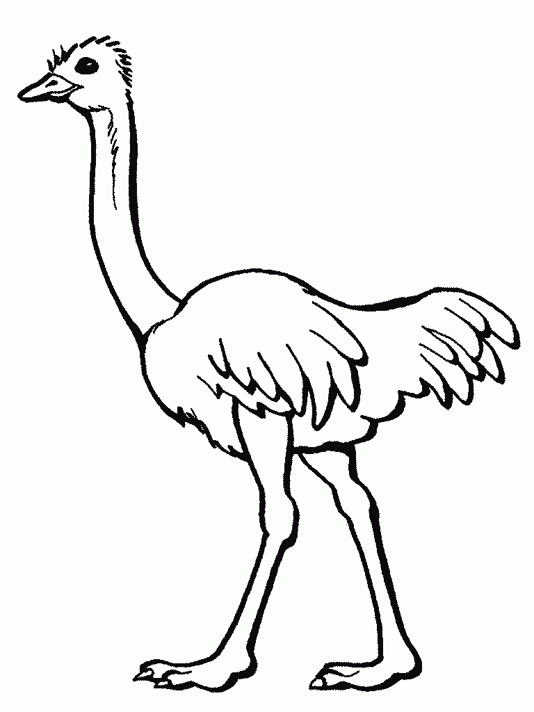 free-animals-Ostrich-printable-coloring-pages-for-preschool