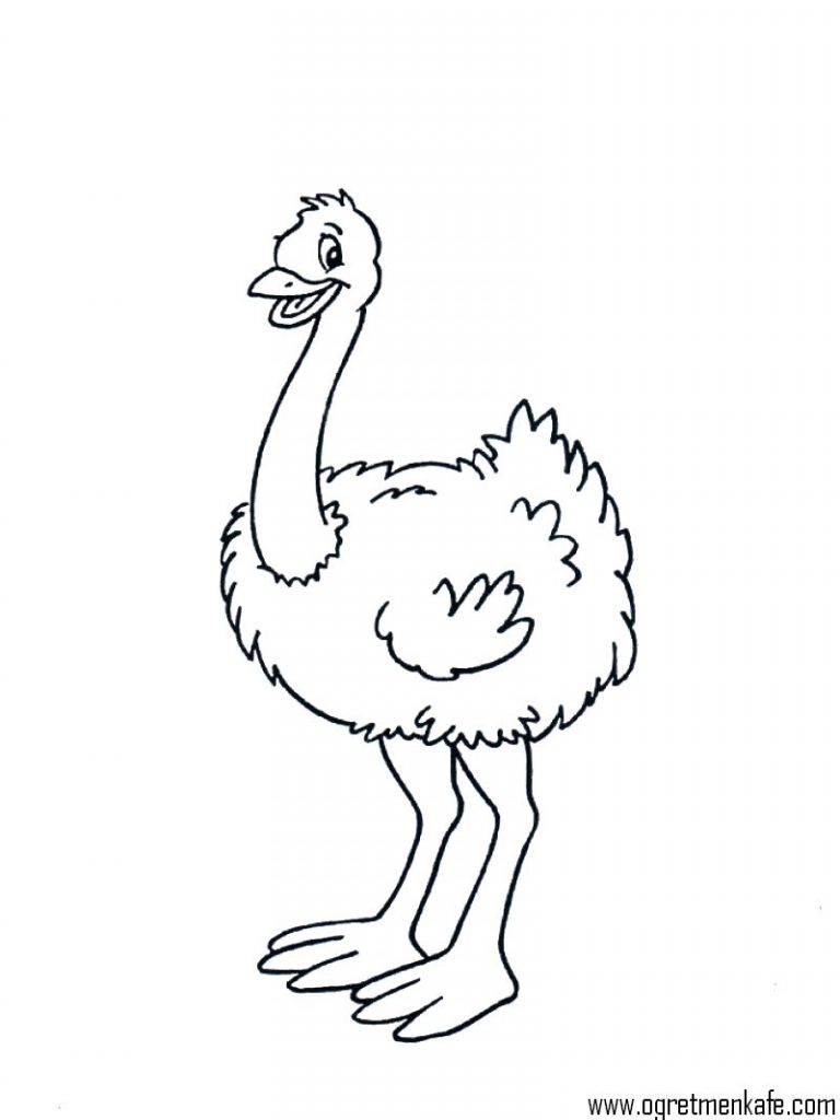 free-animals- Ostrich -printable-coloring-pages-for-preschool