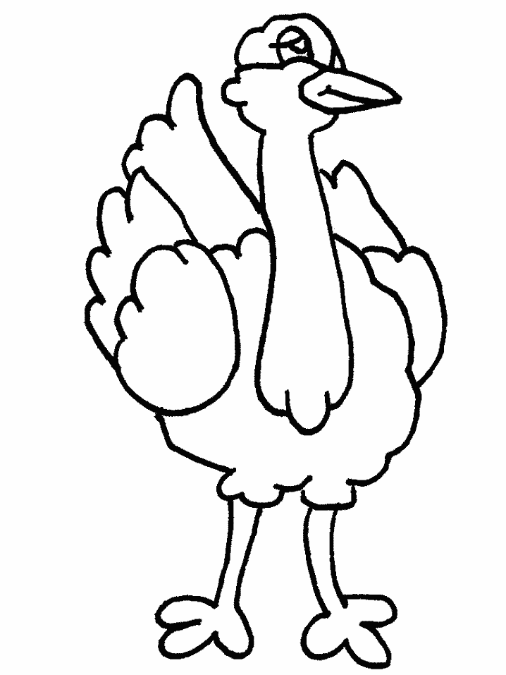 free-animals-Ostrich -printable-coloring-pages-for-preschool