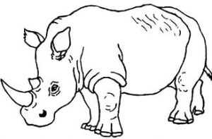 free-animals- Rhino -printable-coloring-pages-for-preschool