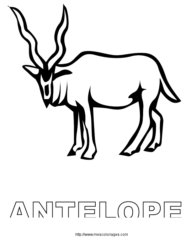 free-animals- antelope-printable-coloring-pages-for-preschool