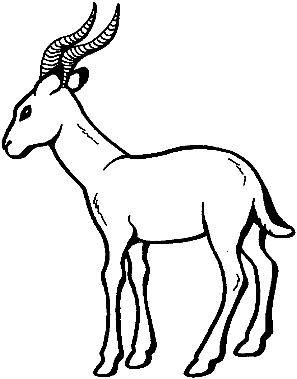 free-animals- antelope -printable-coloring-pages-for-preschool