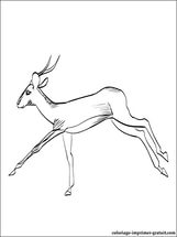 free-animals-antelope-printable-pages-for-preschool