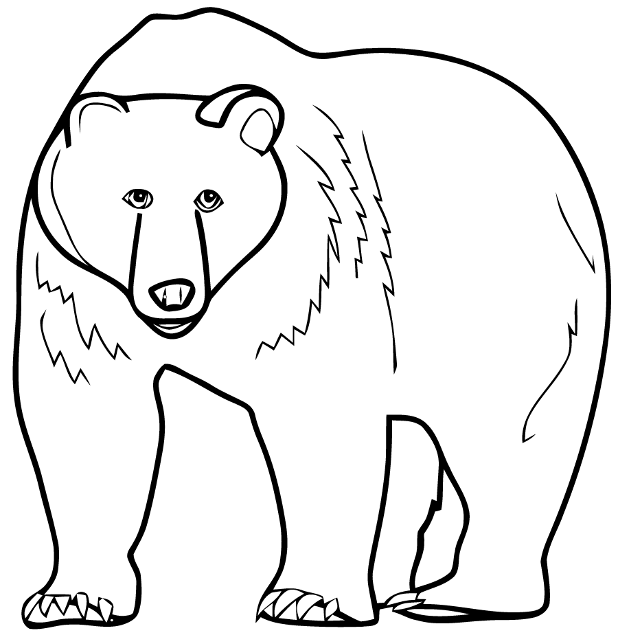 free-animals-bear-printable-coloring-for-preschool