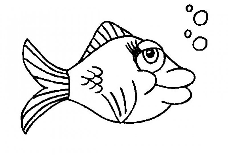 free-animals-beatifull-fish-printable-coloring-pages-for-preschool