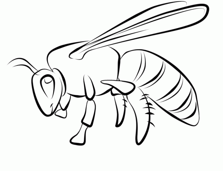 free-animals-bee-printable-coloring-pages-for-kids