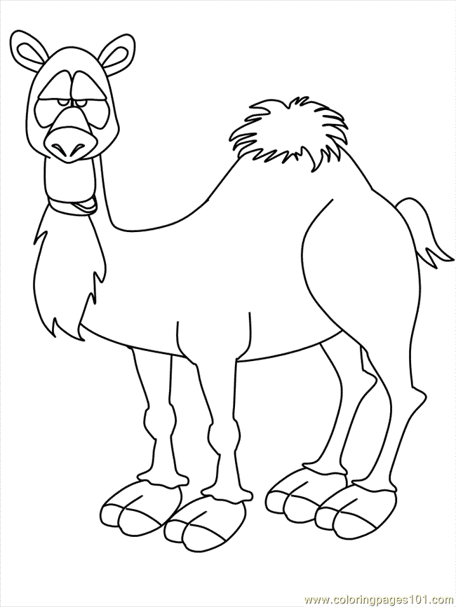 free-animals-camel-printable-coloring-pages-for-kindergarten