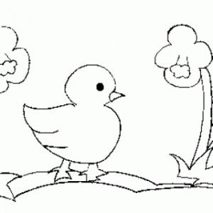 free-animals-cock-colouring-pages-for-preschool