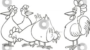 free-animals- cock -printable-coloring-pages-for-preschool