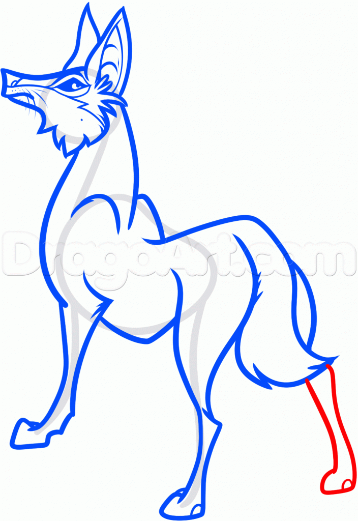 free-animals-coyote-printable-colouring-pages-for-preschool