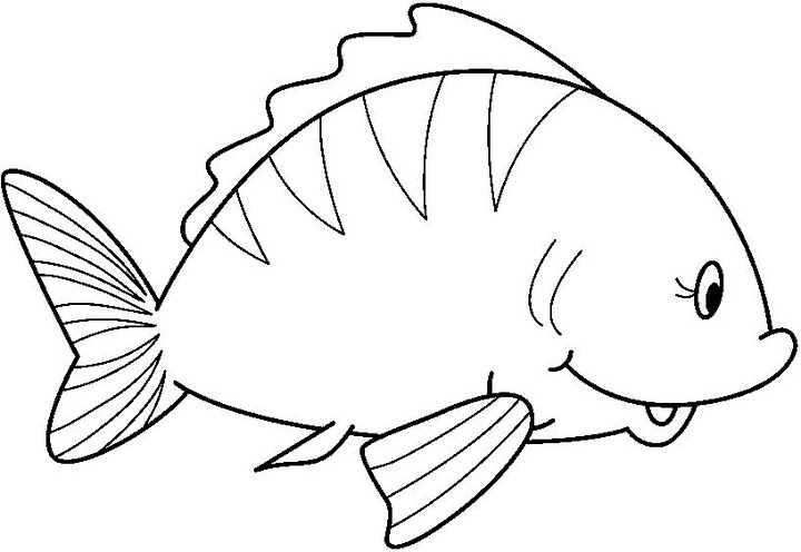 free-animals- fish -printable-coloring-pages-for-preschool
