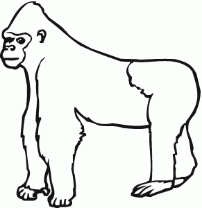 free-animals-gorilla-printable-colouring-pages-for-preschool
