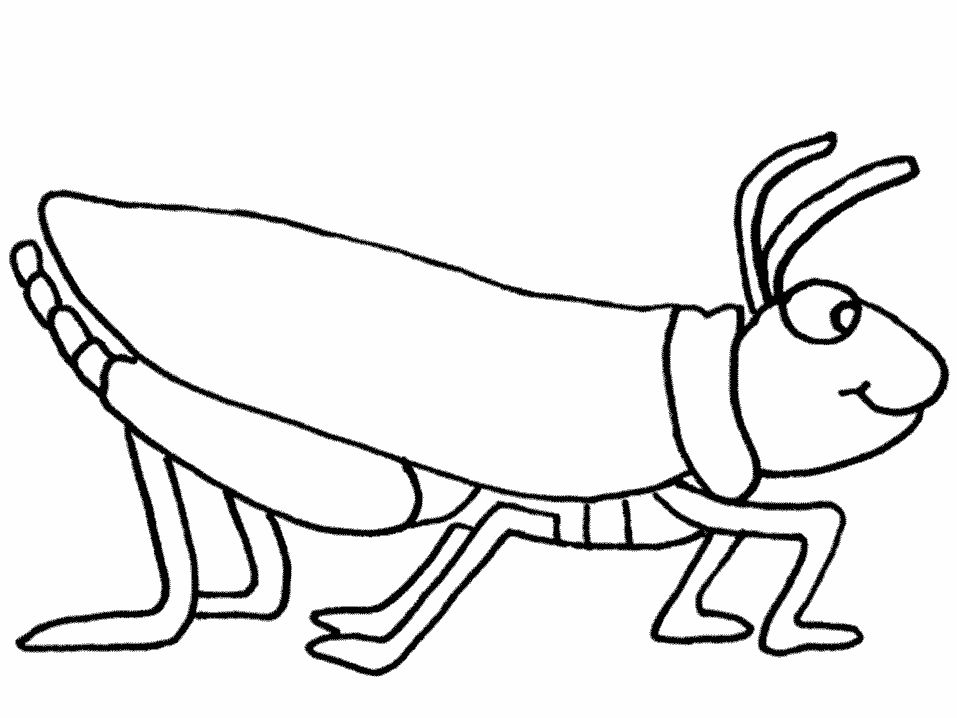 free-animals-grasshopper-printable-coloring-page-for-preschool