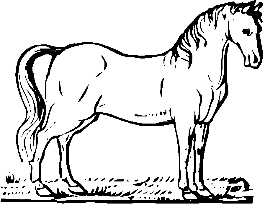 free-animals-horse-printable-coloring-pages-for-kindergarten