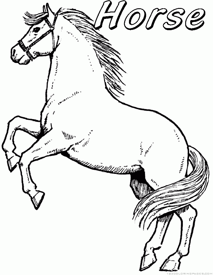 free-animals-horse-printable-coloring-pages-for-preschool