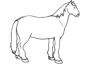 free-animals- horse -printable-coloring-pages-for-preschool
