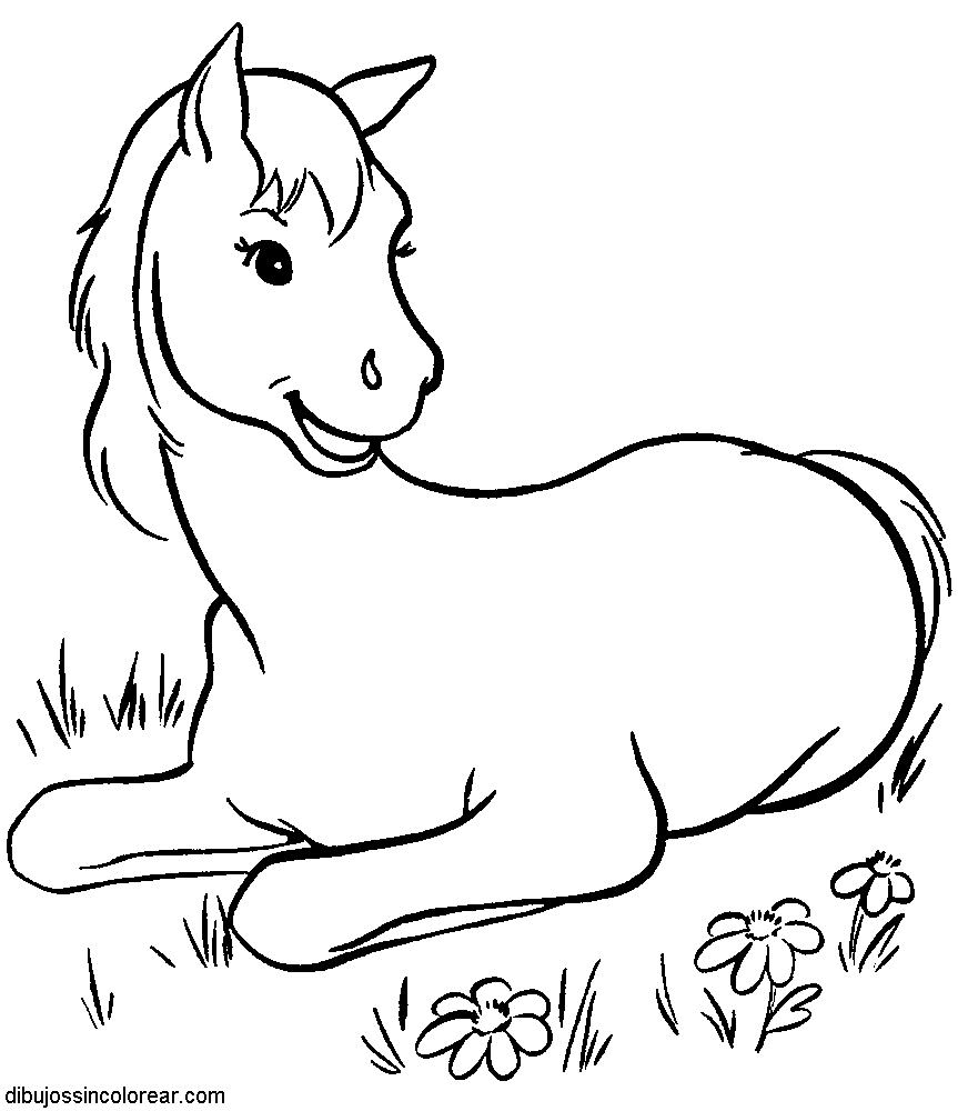 free-animals-horse-printable-coloring-pages-for