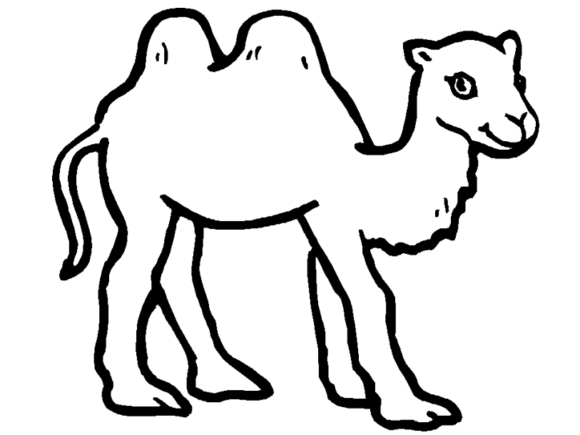 free-animals-kamel-printable-coloring-pages-for-preschool