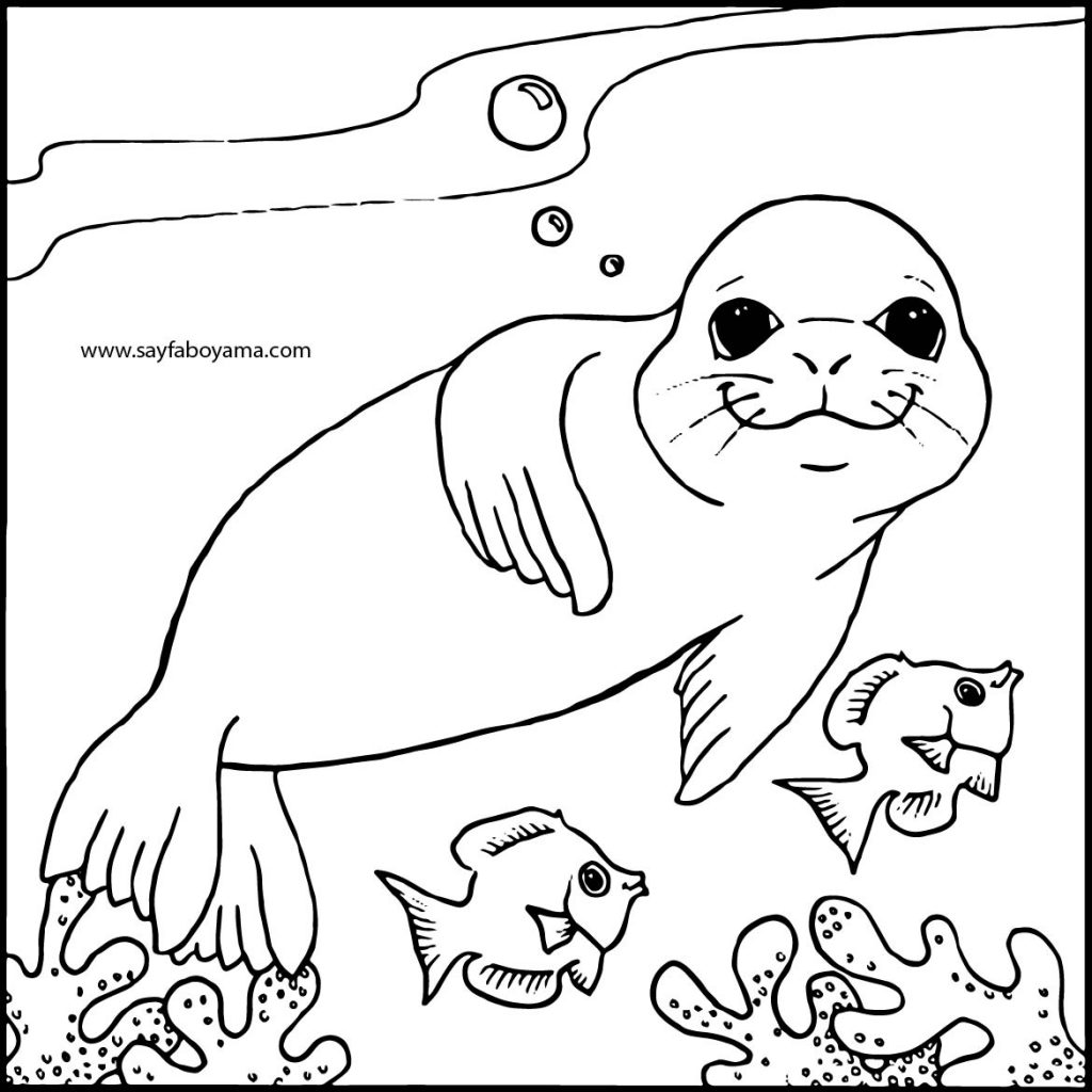 Monk Seal Colouring Pages for Kids