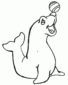 free-animals-monk seal-printable-coloring-pages-for