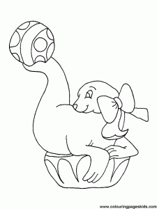 free-animals-monk seal-printable-coloring-pages-for-preschool