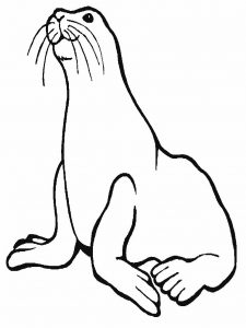 free-animals-monk seal printable-coloring-pages-for-preschool