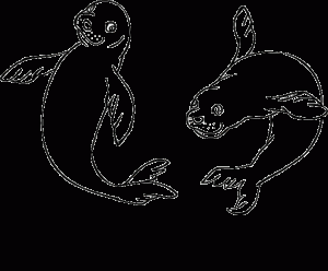 free animals-monk seal-printable-coloring-pages-for-preschool